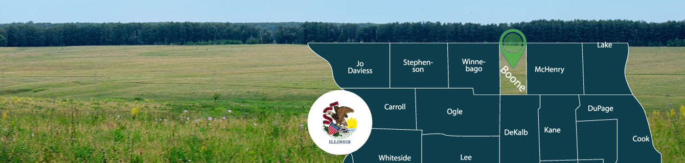 Investor Business Profile Form