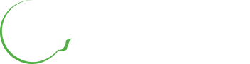 Growth Dimensions Icon